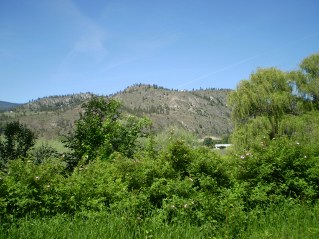Looking west from the trail, north of Oliver, Kettle Valley Railway Oliver to Osoyoos Lake, 2011-06.